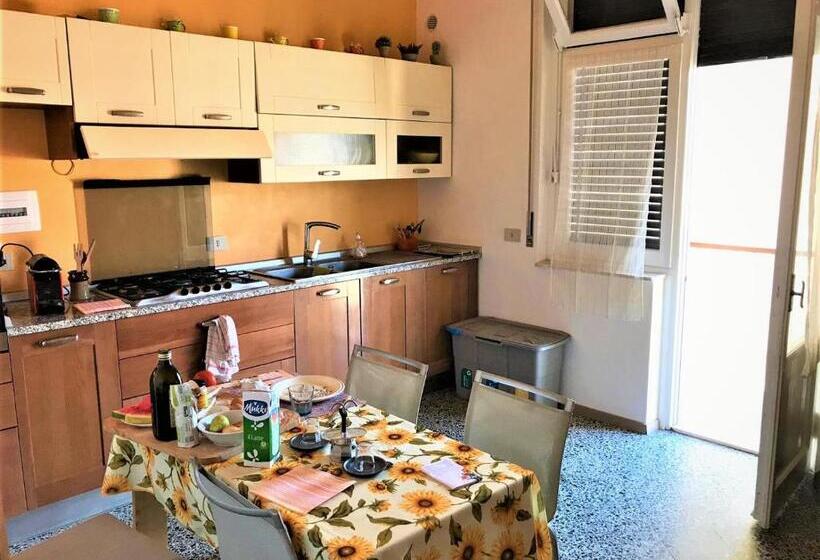 تختخواب در اتاق مشترک, The Homestay   Arezzo