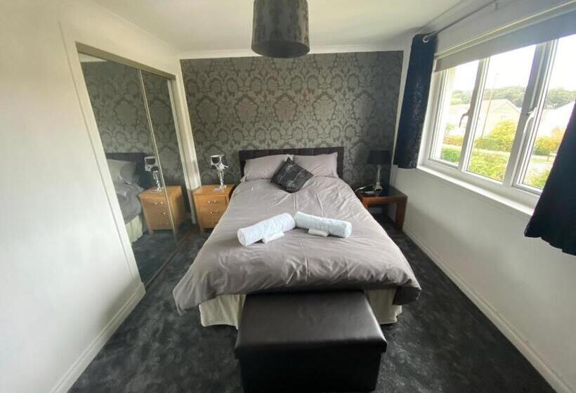 スタンダードルーム, Dreamhaven