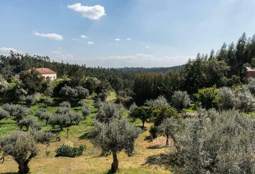 חדר סטנדרט יחיד, Relaxscape