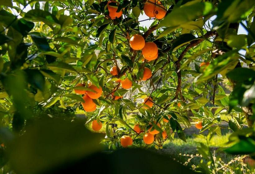 غرفة ديلوكس, Relaxscape