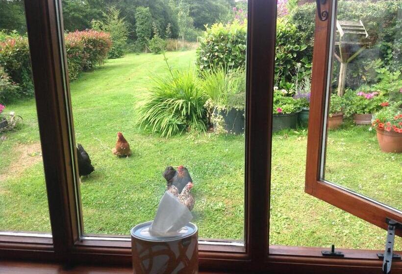 חדר סטנדרט עם מיטת קינג, Meadowview