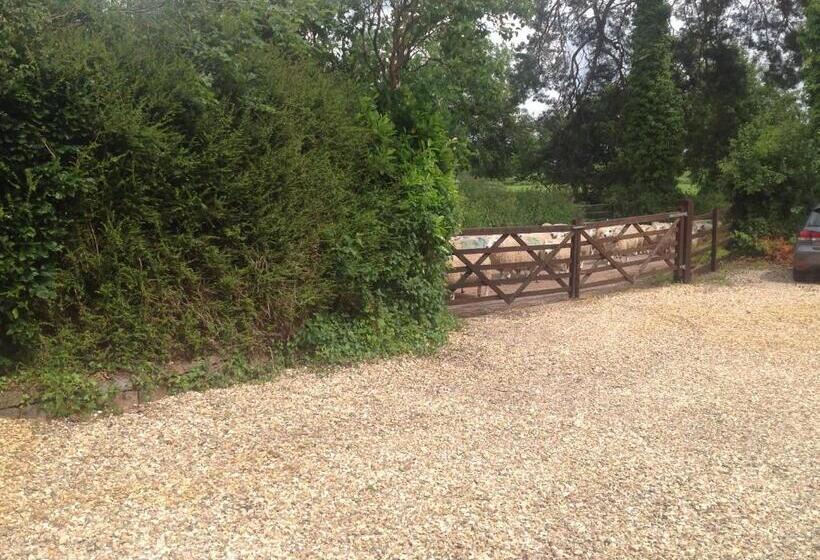 חדר סטנדרט עם מיטת קינג, Meadowview