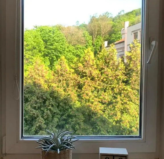 スイート, Treehouse Apartments