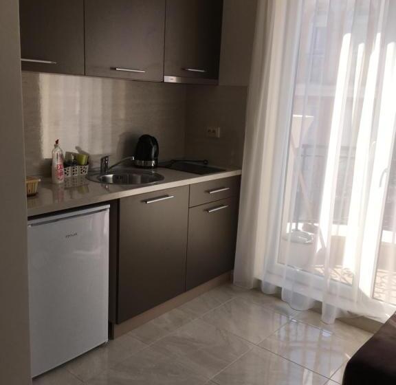 דירה בת חדר שינה 1 עם מרפסת, Vase Apartments