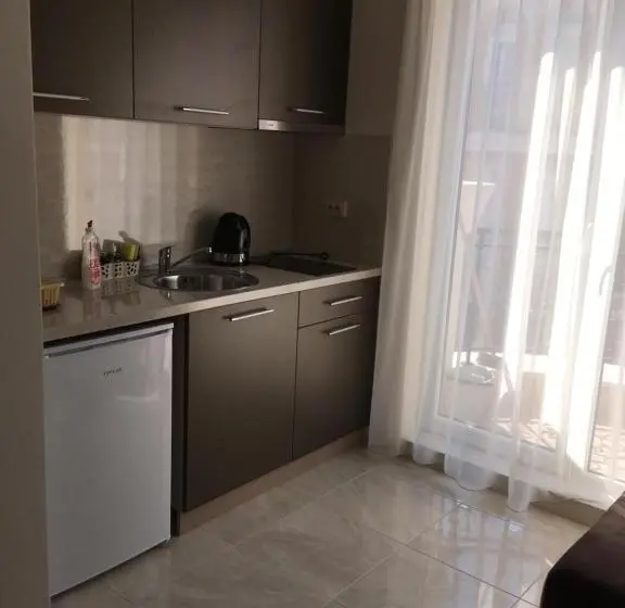 バルコニー付き１ベッドルームアパートメント, Vase Apartments