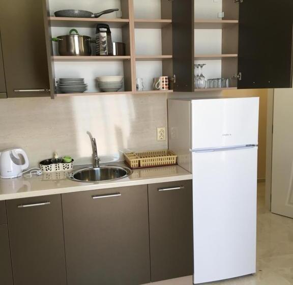 סוויטה משפחתית, Vase Apartments