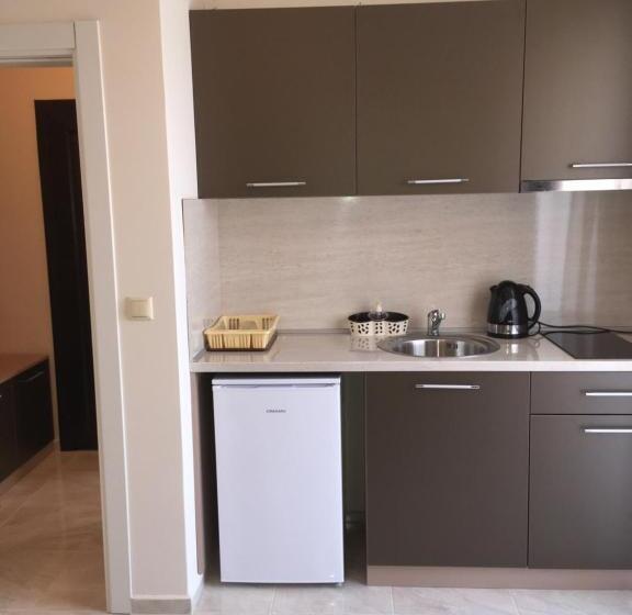 דירת חדר עם טרסה, Vase Apartments