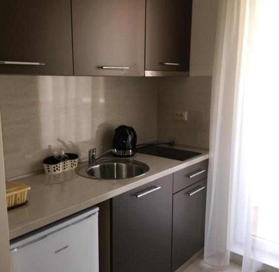 דירת חדר עם טרסה, Vase Apartments