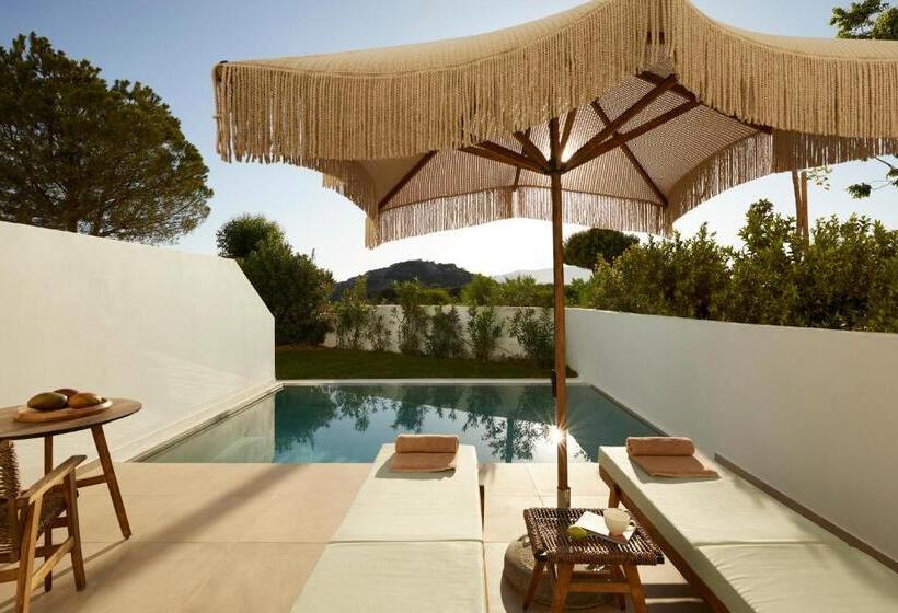 Номер Стандарт Вид на Бассейн, Absolute Kiotari Resort
