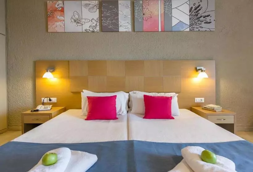 Chambre Standard, Albatros