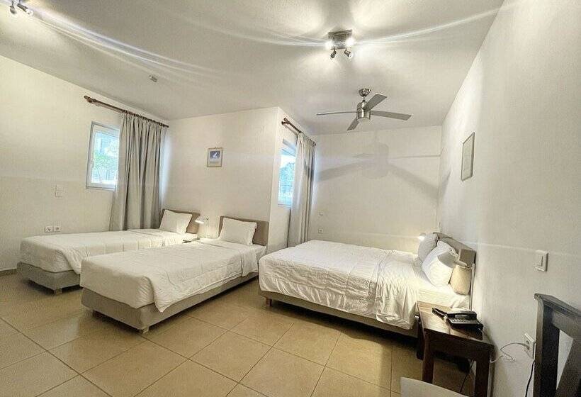 חדר אקונומי לארבעה, Pal Beach