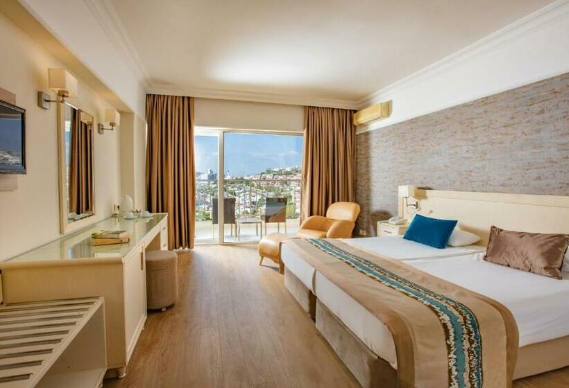 스탠다드 룸, Palmin