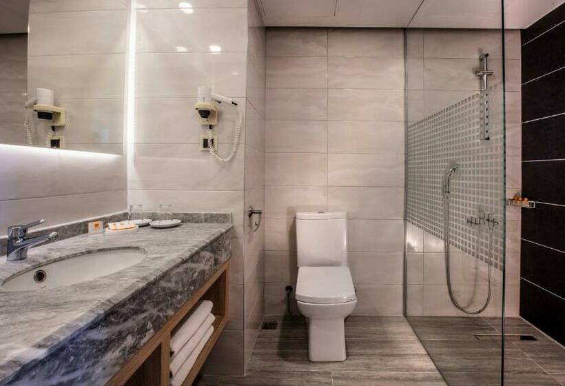 스탠다드 트리플 룸, Palmin