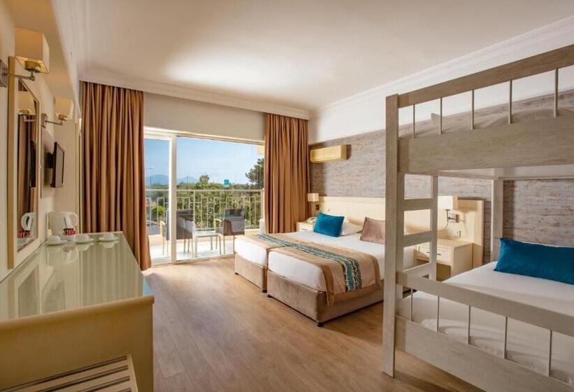 4인용 스탠다드 룸, Palmin