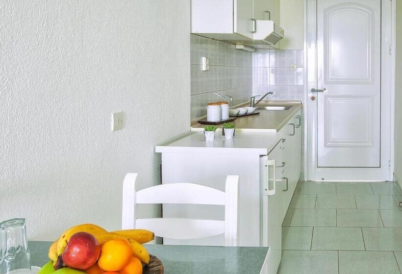 غرفة سوبيريور مطلّة علي الحديقة, Xenios Port Marina