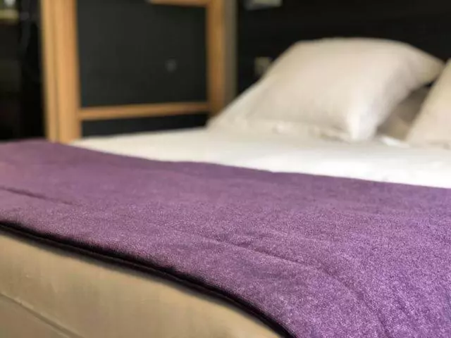 スタンダードルーム, Logis Hotel Restaurant Spa Les Oliviers