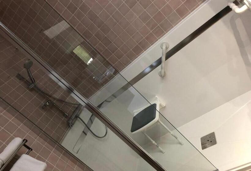 غرفة قياسية لذوى الاحتياجات الخاصة, Logis Hotel Restaurant Spa Les Oliviers