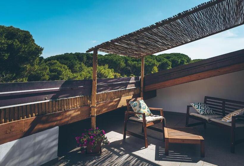 Номер Стандарт с Террасой, Antica Villa Colonica