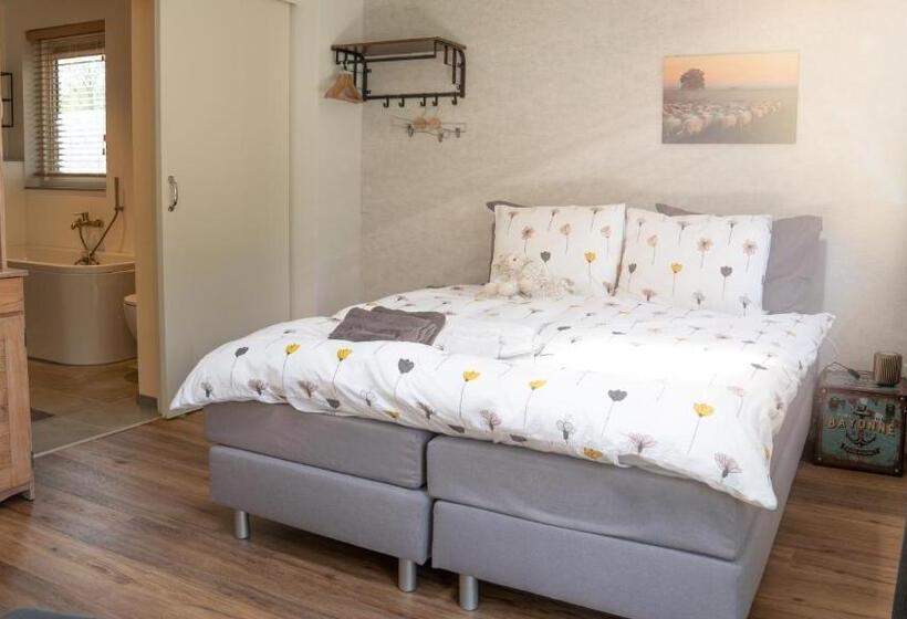 חדר סטנדרט, De Anselier