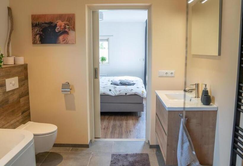 חדר סטנדרט, De Anselier