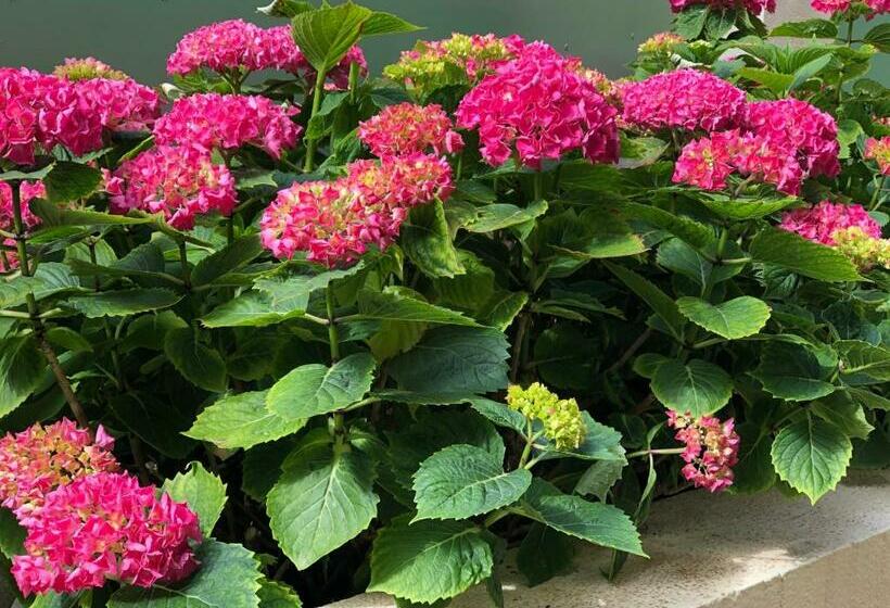 标准间带游泳池, Villa C3 Arthur Rimbaub Chambre D’hôte Piscine Proche Mer Plage 600m