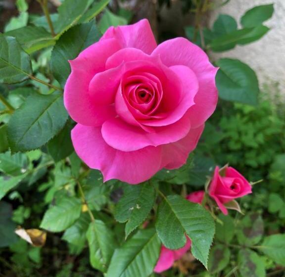 标准间带游泳池, Villa C3 Arthur Rimbaub Chambre D’hôte Piscine Proche Mer Plage 600m