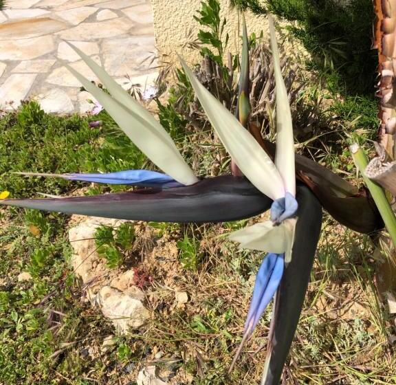 标准间带游泳池, Villa C3 Arthur Rimbaub Chambre D’hôte Piscine Proche Mer Plage 600m