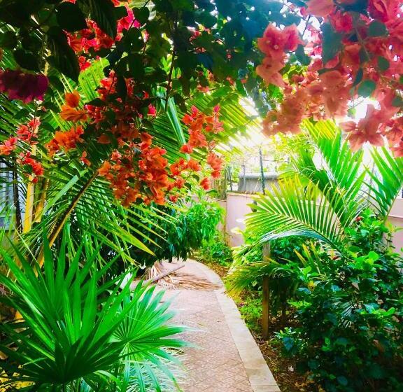 آپارتمان 1 خوابه, Cozy House