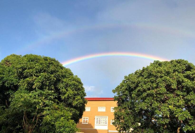 آپارتمان 1 خوابه, Cozy House