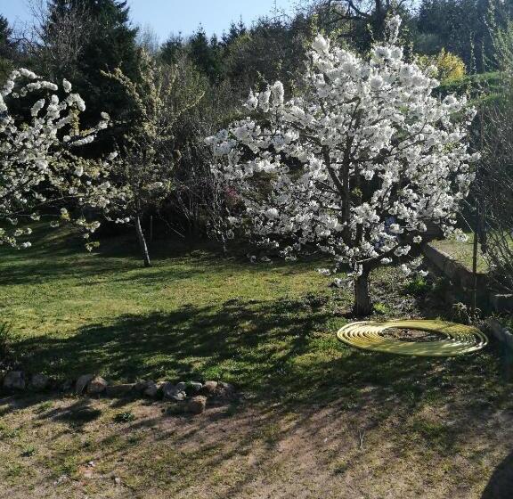 Номер Стандарт, La Posada