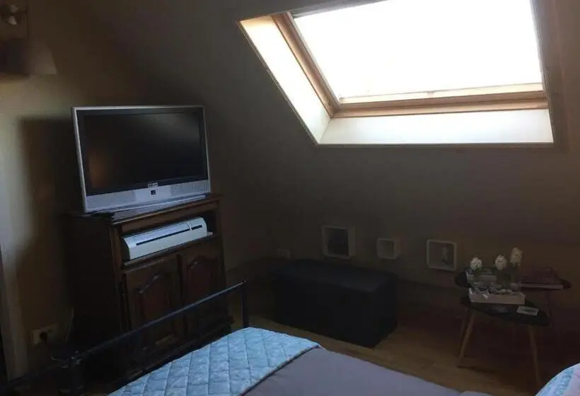 Standard-huone Jaettu Kylpyhuone, B&b T Pleintje