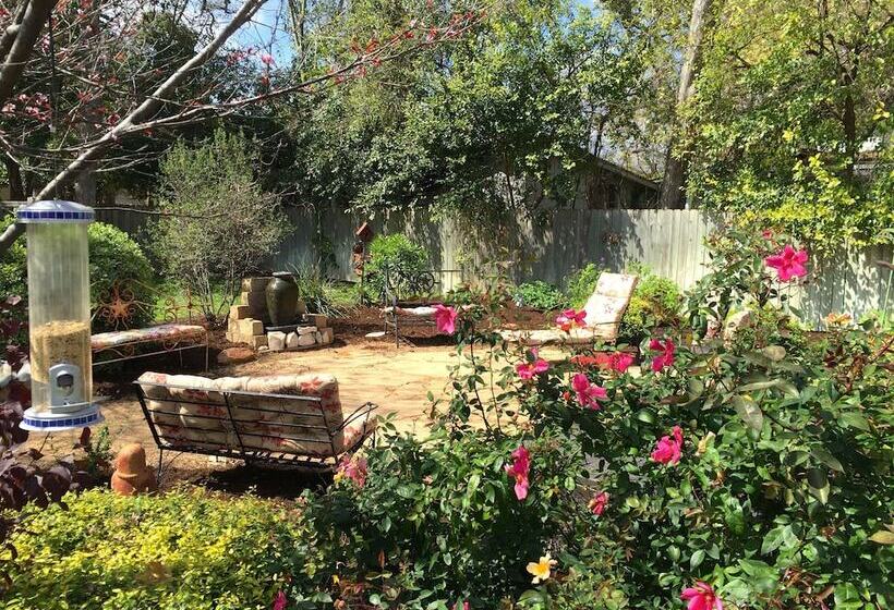 四人标准间, Comal Inn