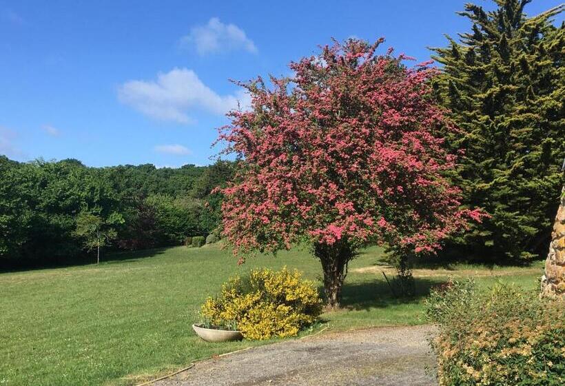 סוויטת דופלקס, La Chamade