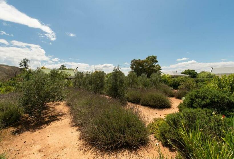 발코니가 있는 스위트, The Bean Tree