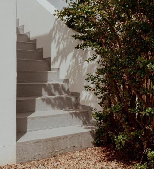 디럭스 스위트, The Bean Tree