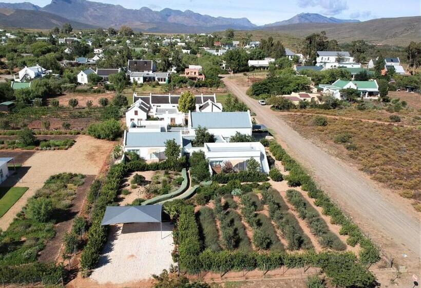 디럭스 스위트 킹 침대, The Bean Tree