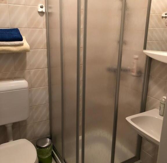 テラス付きシングルルーム, Haus Camelia