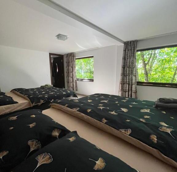 חדר משפחתי דלוקס, Sunset Expanse