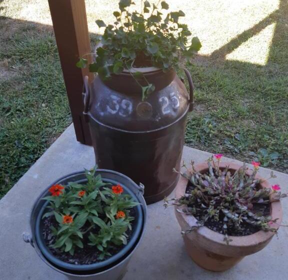 חדר סטנדרט, The End Lounge B&b