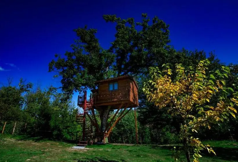 バルコニー付きデラックスルーム, Casa Sull Albero Bocchineri