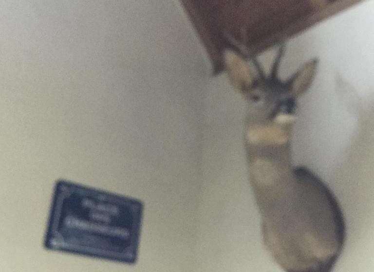 스탠다드 룸 킹사이즈 침대, B&b Goed Ten Hulle