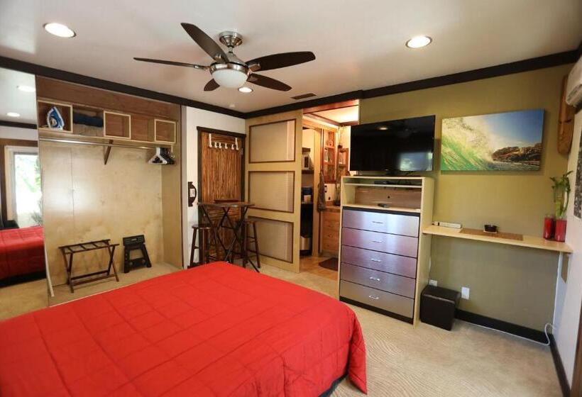 إستوديو قياسى, Kaza Kokos