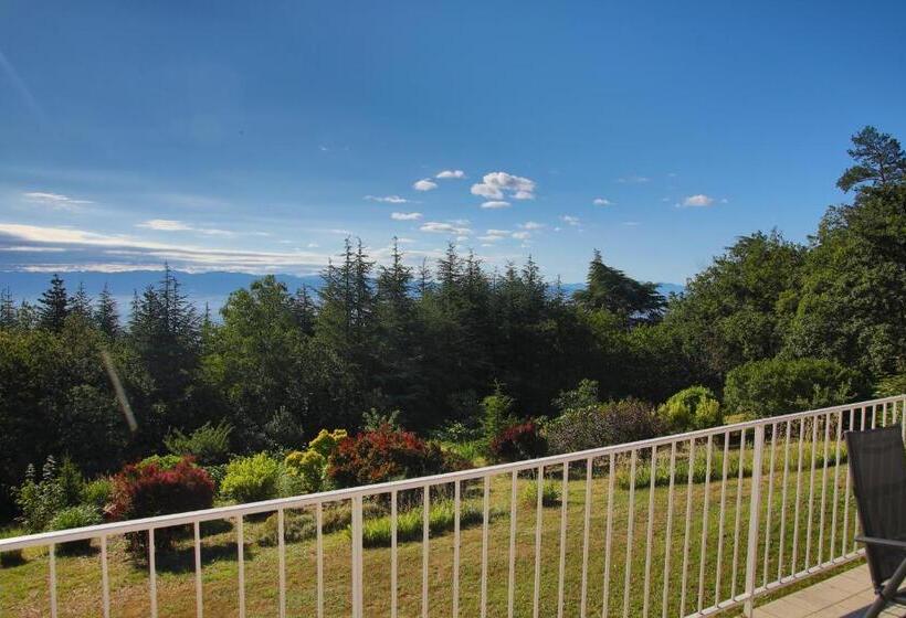 テラス付スイート, Villa Rouvesol