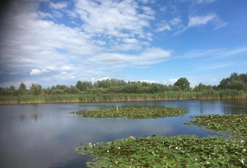 Номер Стандарт Вид на Озеро, Het Pulletje