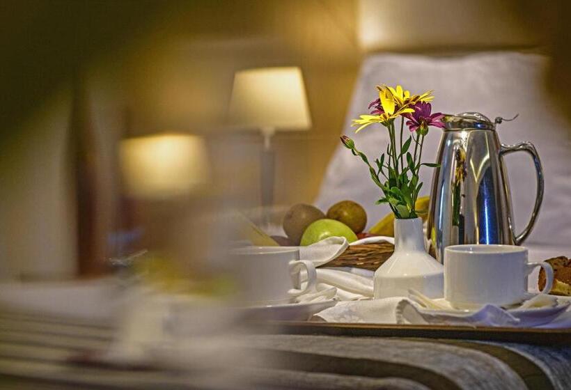 Номер Стандарт Вид на Сад, Aristoteles Holiday Hotel And Spa