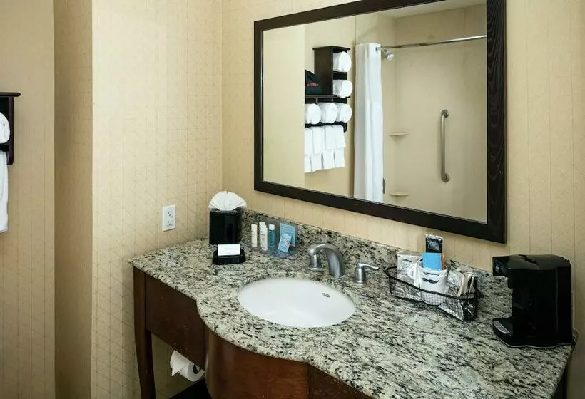 スタンダードルーム, Hampton Inn & Suites Arroyo Grande Pismo Beach Area