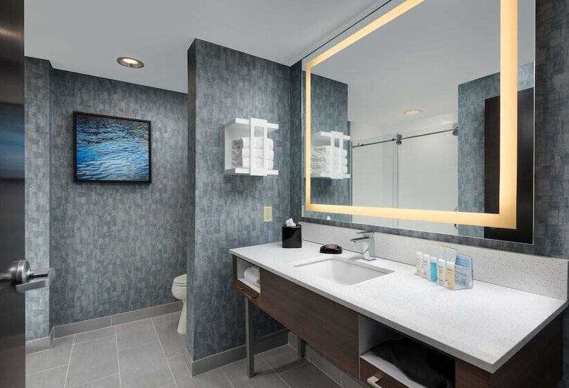 Chambre Standard, Hampton Inn & Suites Chattanooga/downtown
