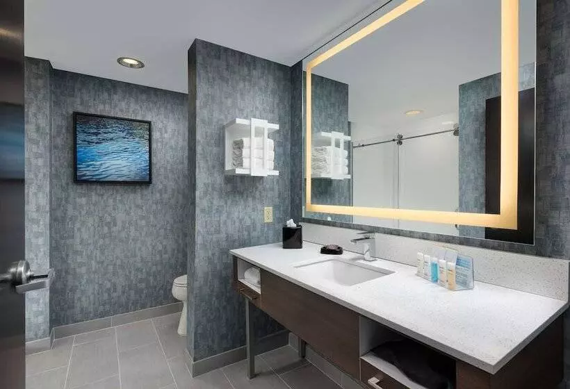 スタンダードルーム, Hampton Inn & Suites Chattanooga/downtown