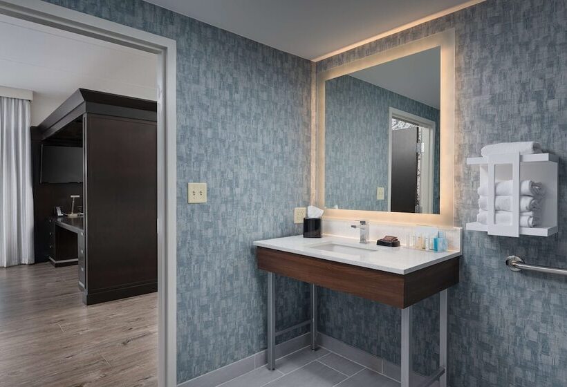 Studio Standard, Hampton Inn & Suites Chattanooga/downtown