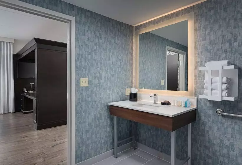 スタンダードスタジオ, Hampton Inn & Suites Chattanooga/downtown